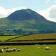 Slemish, en Irlanda, donde Patricius supuestamente sirvió como esclavo. Foto: Wikipedia